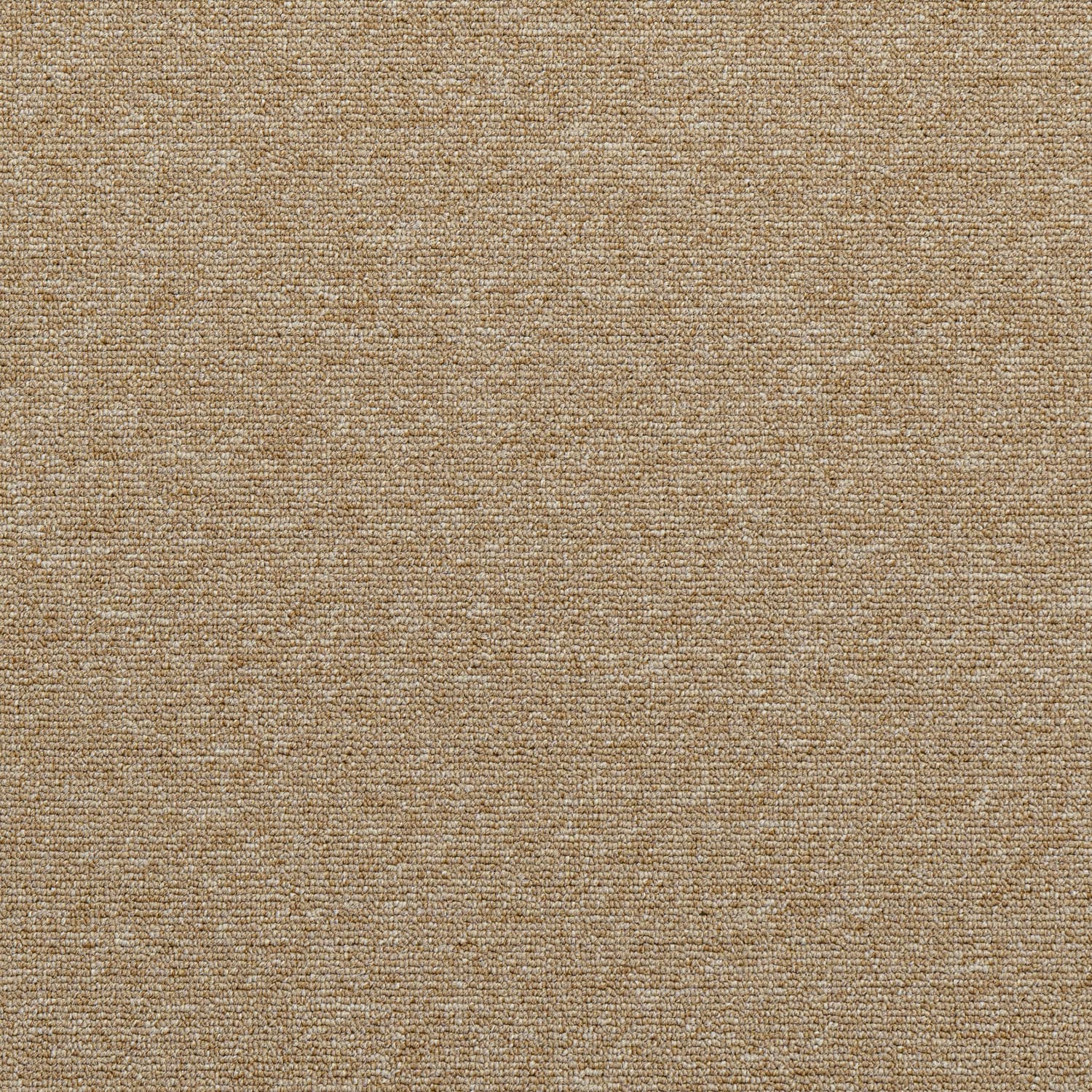 Haima WILKINS ATOM Beige 08