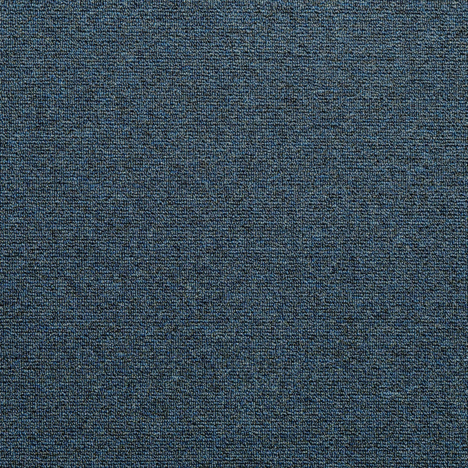 Haima WILKINS ATOM Blue 05