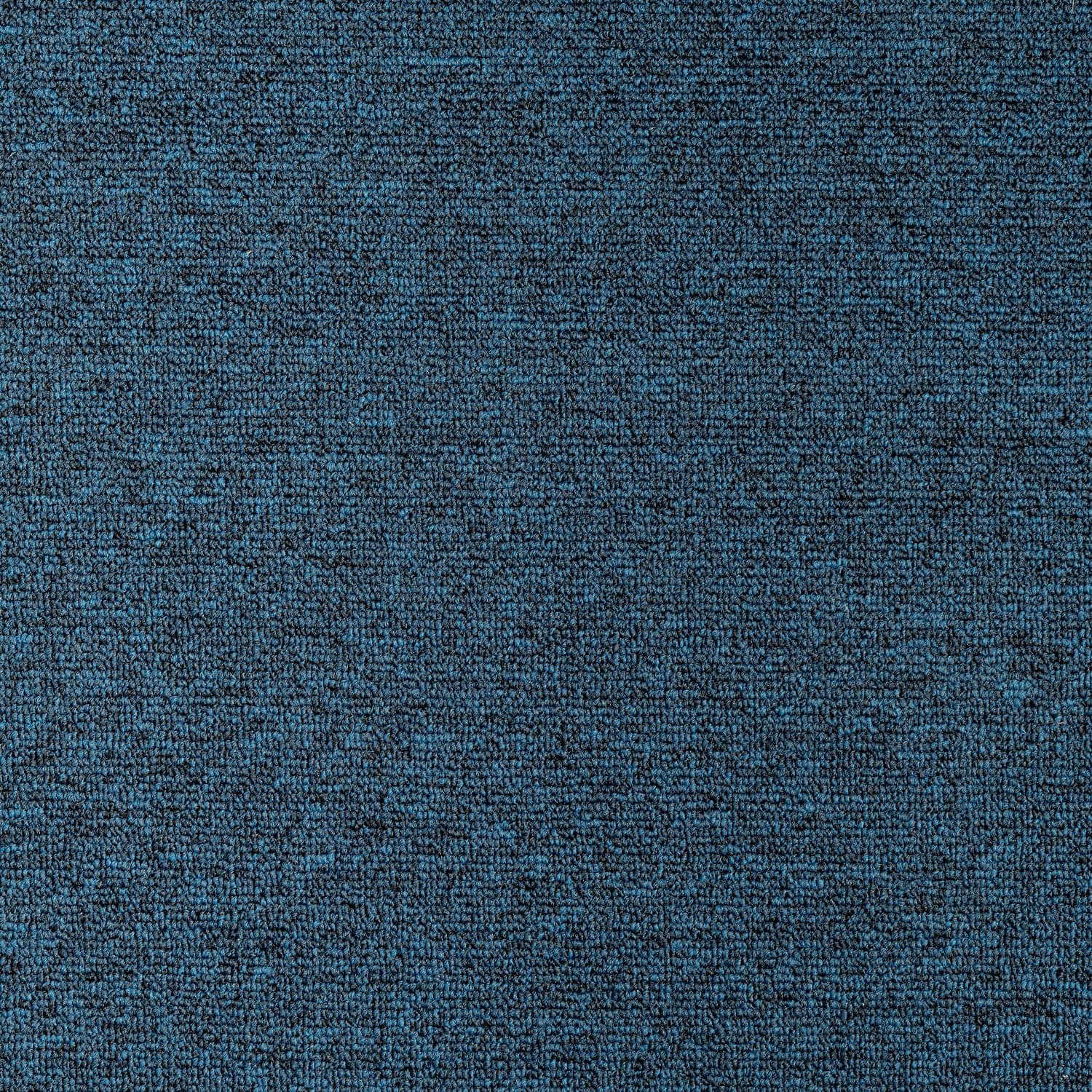 Haima WILKINS ATOM Blue 07