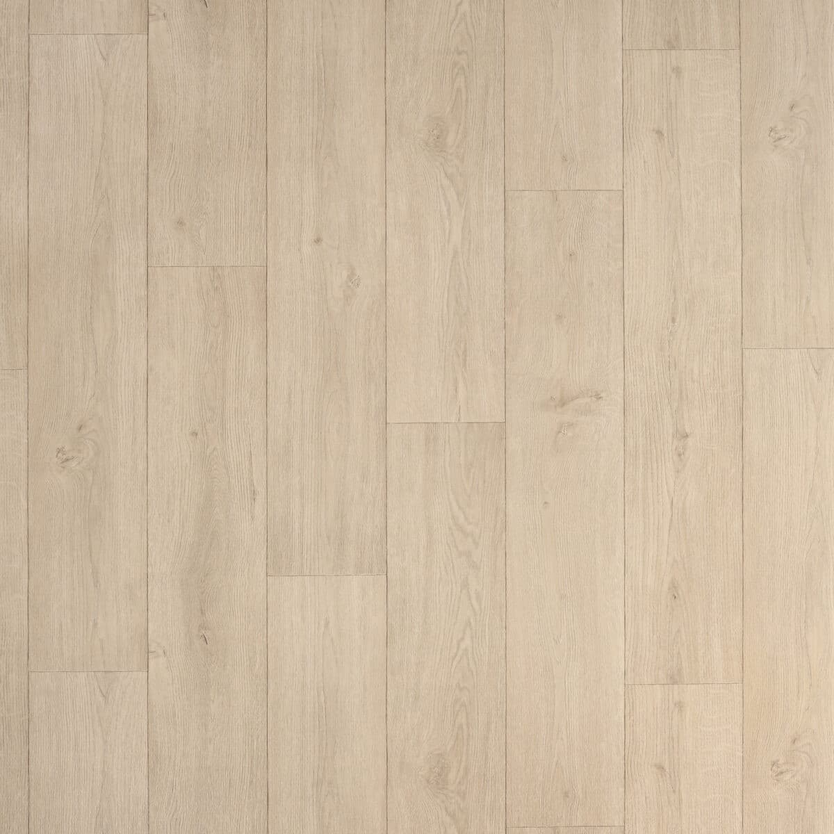 Линолеум бытовой Tarkett Energy Logic 1