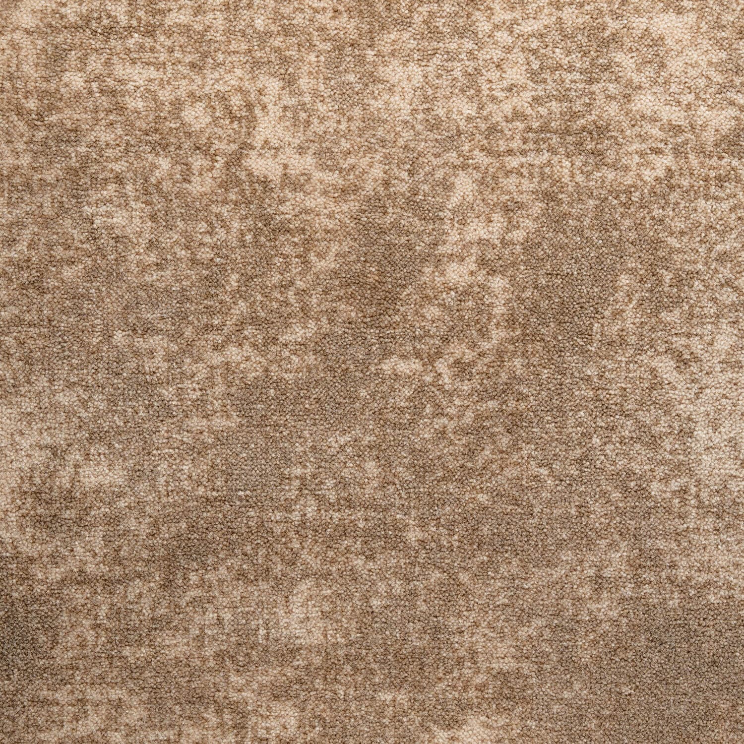 Haima WILKINS MANTERA 1000 Beige 02