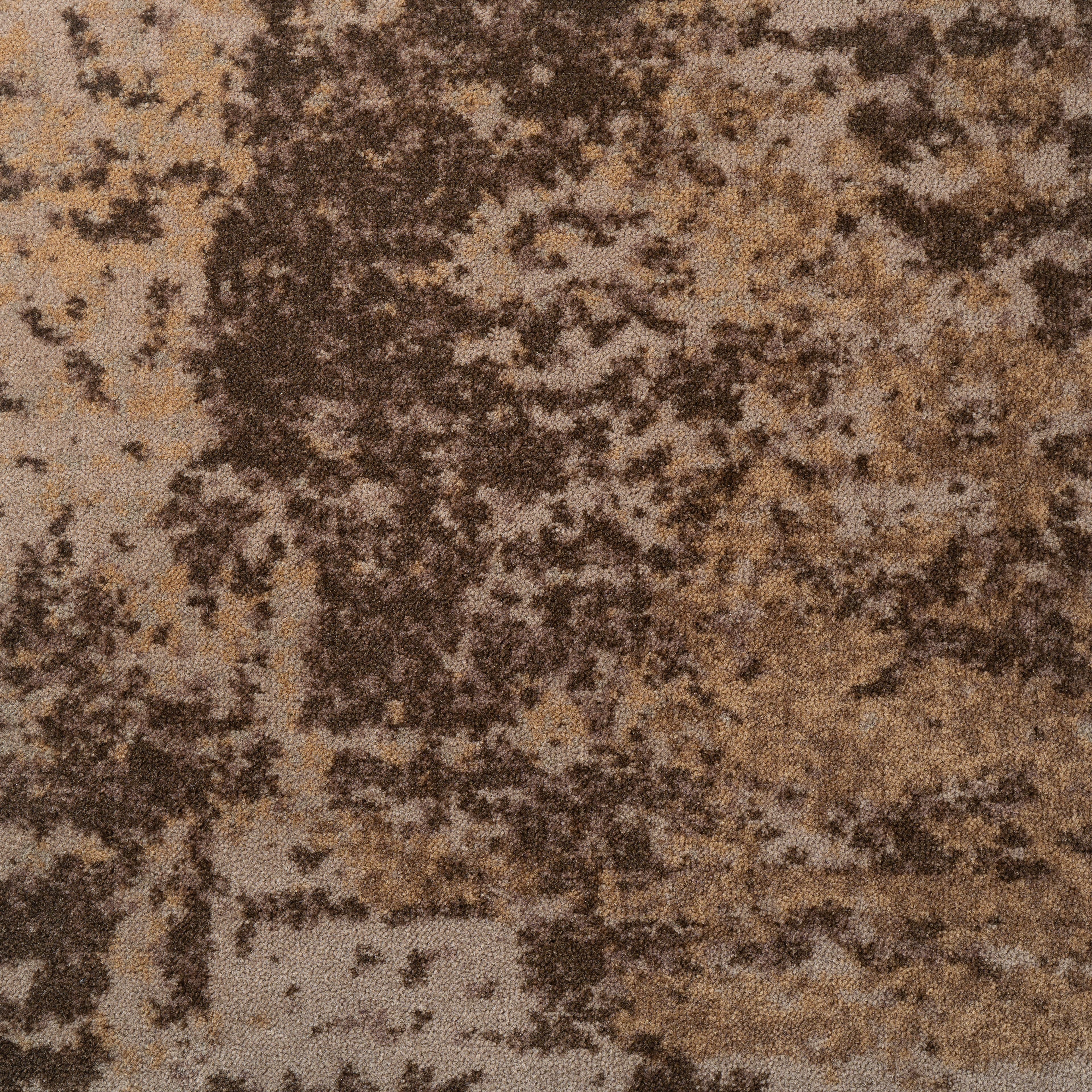 Haima WILKINS SAHARA 800 Brown 03